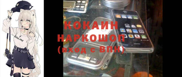 дживик Алексин