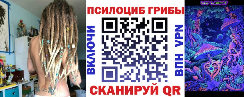 Псилоцибиновые грибы MAGIC MUSHROOMS купить закладку мориарти наркотические препараты Томск мега tor