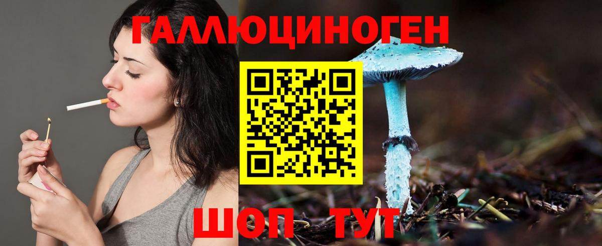 Томск  Псилоцибиновые грибы мухоморы  Вход с VPN 